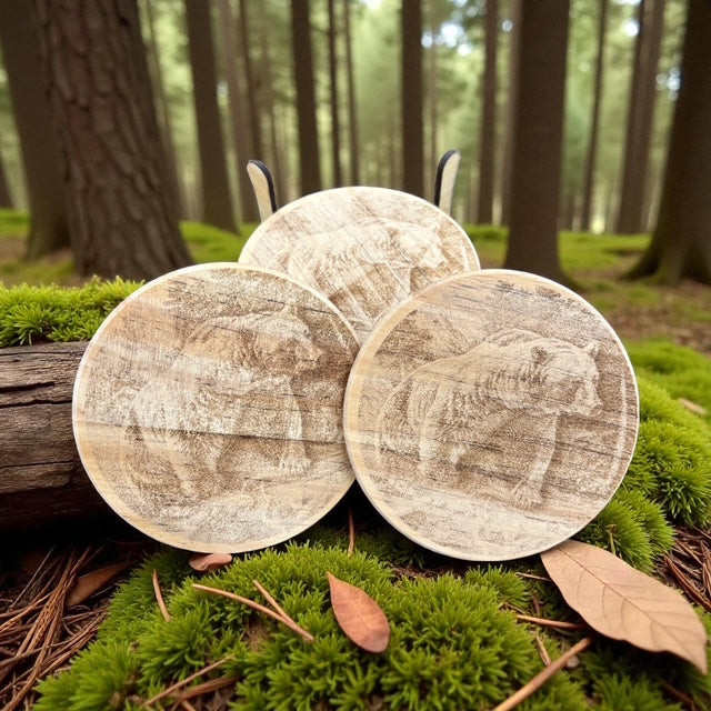 Alaskan Grizzly Bear Coaster Set
