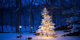 Tumbler Decorating class