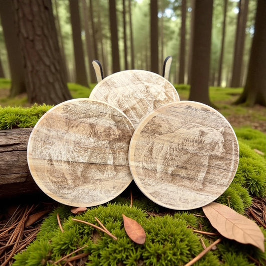 Alaskan Grizzly Bear Coaster Set